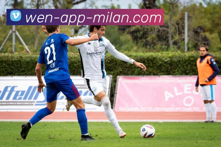 米兰体育官网APP 封面图